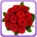 Roses Gallery
