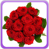 Roses Gallery иконка