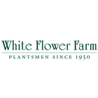 White Flower Farm Catalogs icône