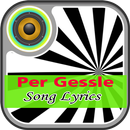 Per Gessle Song Lyrics APK