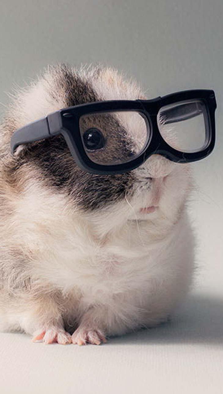 my wallpaperblog Wallpaper Lucu Dan Imut my wallpaperblog Wallpaper Lucu Dan Imut
