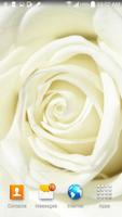 White Rose Live wallpaper capture d'écran 2