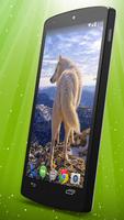 White Wolf Live Wallpaper ảnh chụp màn hình 1