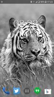 White Tiger Wallpaper HD for Android capture d'écran 3
