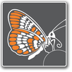 NEB Tools APK