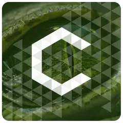 Croc - Icon Pack APK download