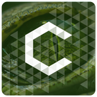 Croc - Icon Pack ícone