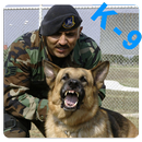 K9 Service Dogs Wallpapers APK