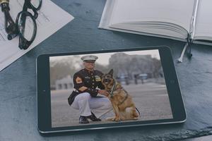 K9 Service Dogs Wallpapers captura de pantalla 3