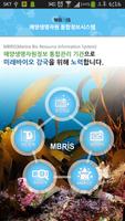 MBRIS 포스터