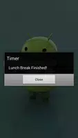 Timer Widget 스크린샷 2