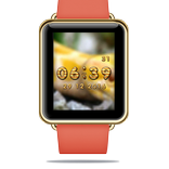 Snake Clock Widget