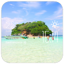 Wagga Wagga weather widget APK