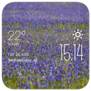 lavender weather widget/clock APK