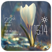 Raining Flower weather widget APK