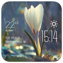 Raining Flower weather widget APK