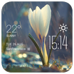 Raining Flower weather widget