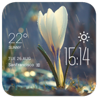 Raining Flower weather widget biểu tượng