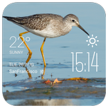 Ajax weather widget/clock