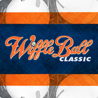 Wiffle Ball Classic icône