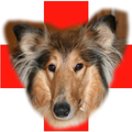 Distress Guard