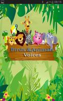 Birds and Animals voices capture d'écran 2
