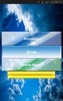 Birds and Animals voices تصوير الشاشة 3