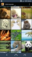 Images d'animaux sauvages Affiche