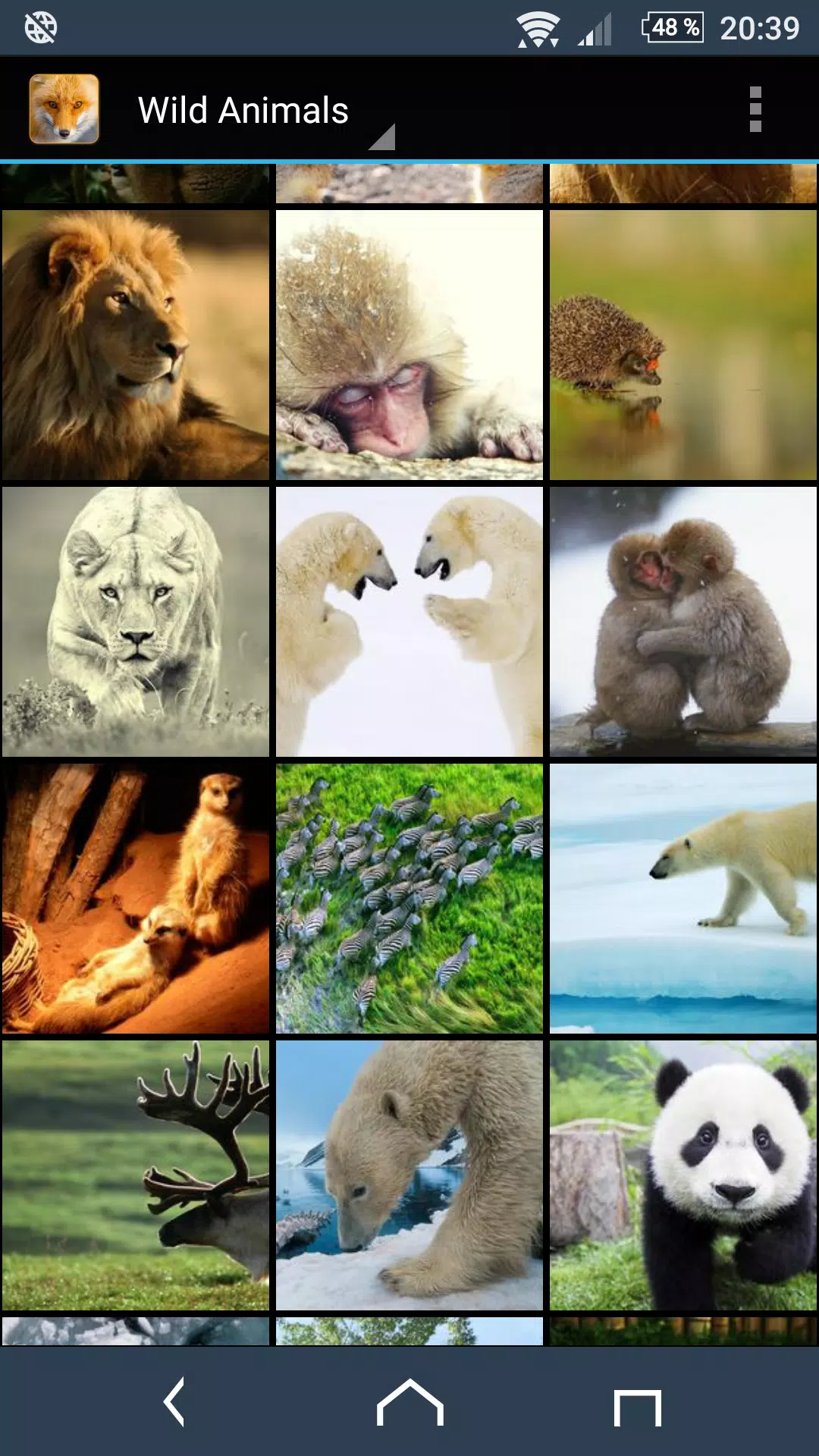 Wild Animal Photos APK for Android Download Wild Animal Photos APK for Android Download