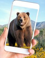 Wild Bear Wallpaper اسکرین شاٹ 1