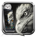 Wild Eagle Theme APK