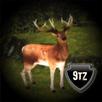 Wild Rut APK