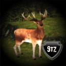 Wild Rut APK