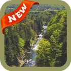 آیکون‌ Wild Wallpaper