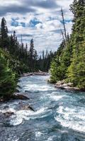برنامه‌نما Wild Wallpaper عکس از صفحه