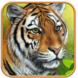 野生の虎の狩猟ジャングルの動物の攻撃