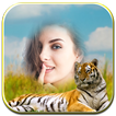 Wild Animal Photo Frames HD