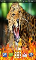 Wild Animal Live Wallpaper plakat