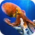 Octopus Underwater Simulator -