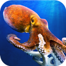 Octopus Underwater Simulator - APK
