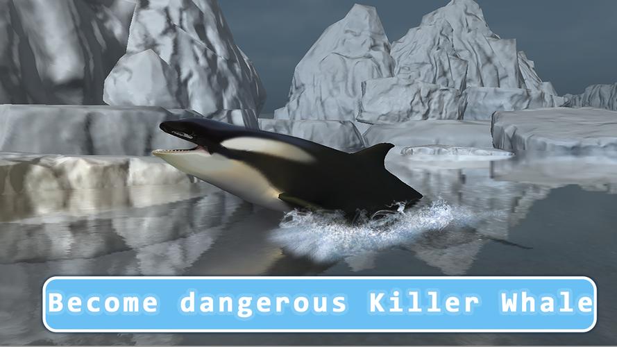 Killer Whale Orca Simulator For Android Apk Download - killer whales life roblox