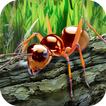 Simulateur de survie de fourmi