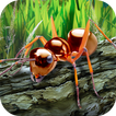 Ants Survival Simulator - go t