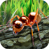 Simulateur de survie de fourmi