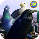 APK City Birds Simulator