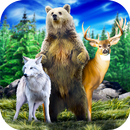 Wild Forest Survival: Animal S APK