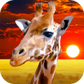African Giraffe Simulator - survive in Savanna!