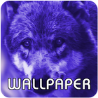 Wild Animals Wallpapers-icoon