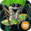 Tarantula Monster Spider Sim