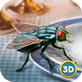 Insect Fly Simulator 3D MOD